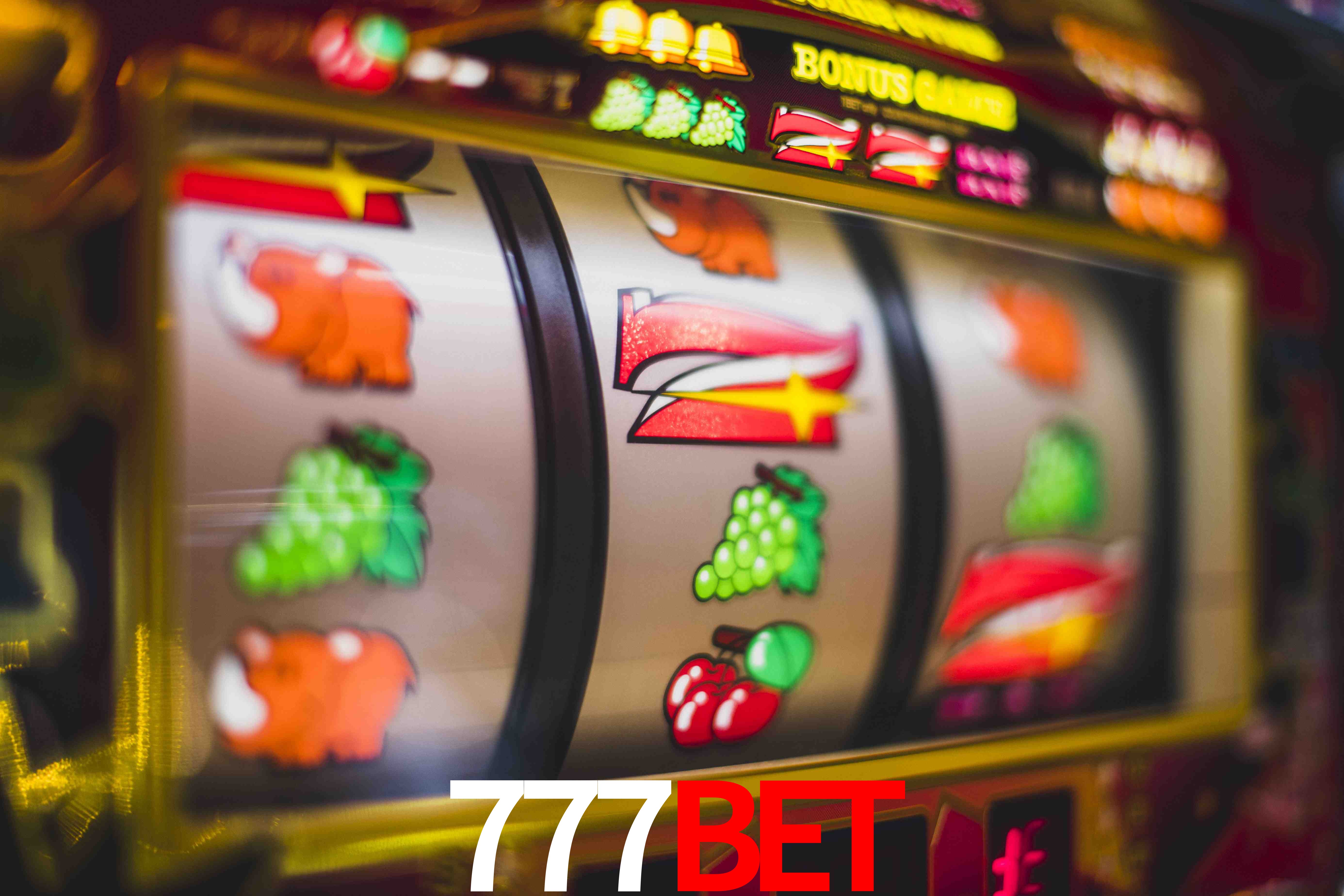Statistics 777bet